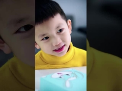 SN201 Электрическая звуковая зубная щётка